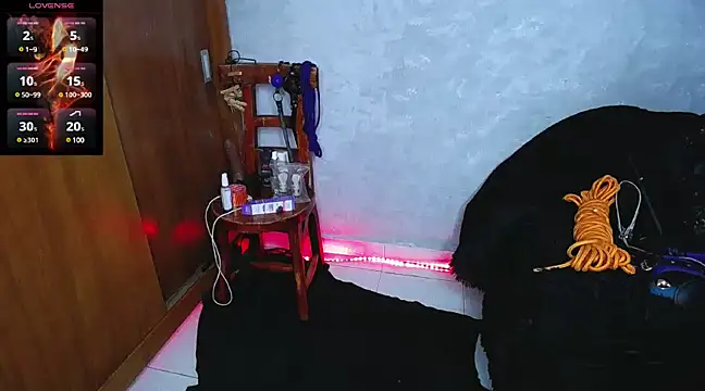 Snapshot of mysteery_katty_ chatting on 16, 12, 2024 mysteery katty  online show from 16, 12, 2024