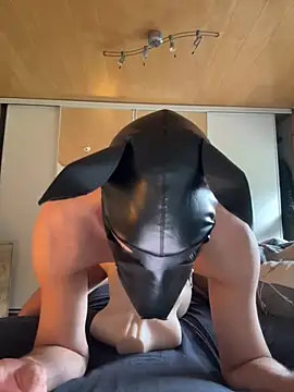 PlayDog123 online show from 4, 10, 2025