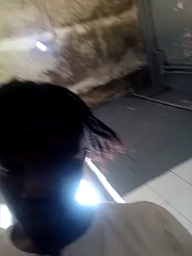 Xmint231 online show from 12, 3, 2026