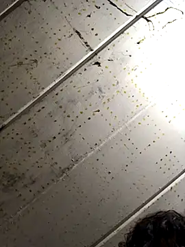 Snapshot of macg96 chatting on 4, 12, 2024 macg96 online show from 4, 12, 2024