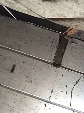 Snapshot of macg96 chatting on 17, 12, 2024 macg96 online show from 17, 12, 2024