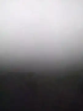 heartless  95 online show from 15, 2, 2026