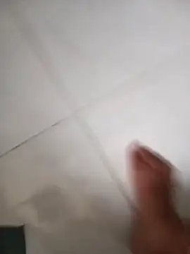 lobomisterioso13 online show from 9, 2, 2026