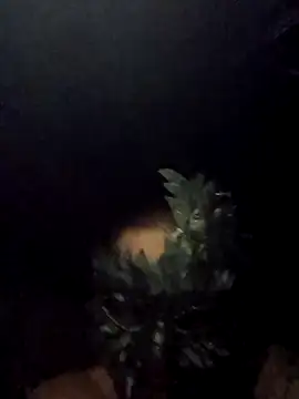 Buffshagswell online show from 15, 9, 2025