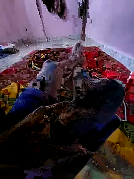 Ssdhaka11 online show from 6, 11, 2025