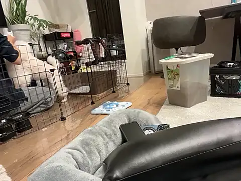 kensnb online show from 1, 11, 2025