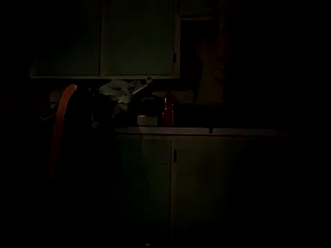 Frankdick01 online show from 4, 10, 2025