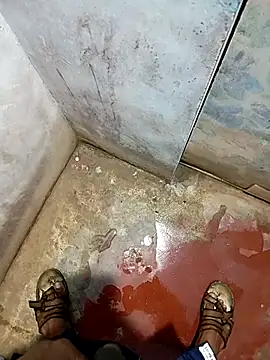 Andrapradesh online show from 21, 11, 2025