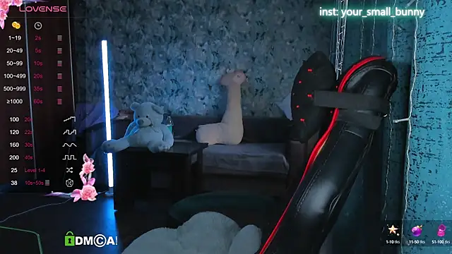 Your small bunny online show from 23, 9, 2025