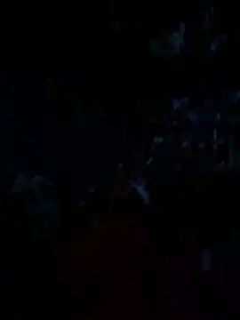 Snapshot of janberlin chatting on 19, 6, 2026 janberlin online show from 19, 6, 2026
