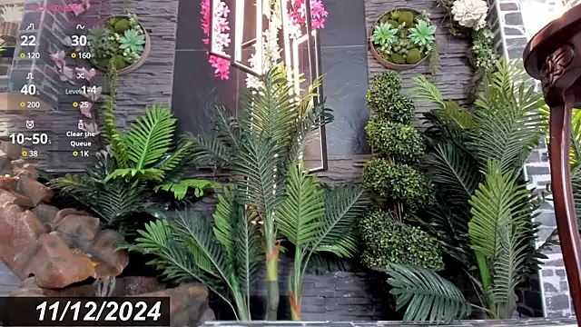 Eva Coluccy online show from 12, 12, 2024