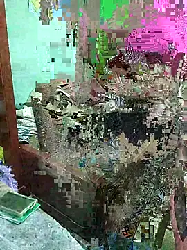 Snapshot of ShelfyOfferer chatting on 29, 5, 2026 ShelfyOfferer online show from 29, 5, 2026