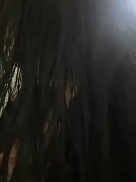 Snapshot of eva_sexx69 chatting on 13, 3, 2026 eva sexx69 online show from 13, 3, 2026