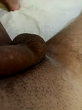 bengala223 online show from 20, 10, 2025