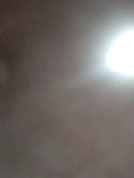  violetta - online show from 16, 10, 2025