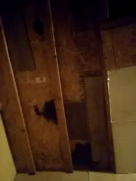 beliqi online show from 15, 12, 2024