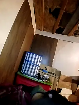 beliqi online show from 15, 11, 2025