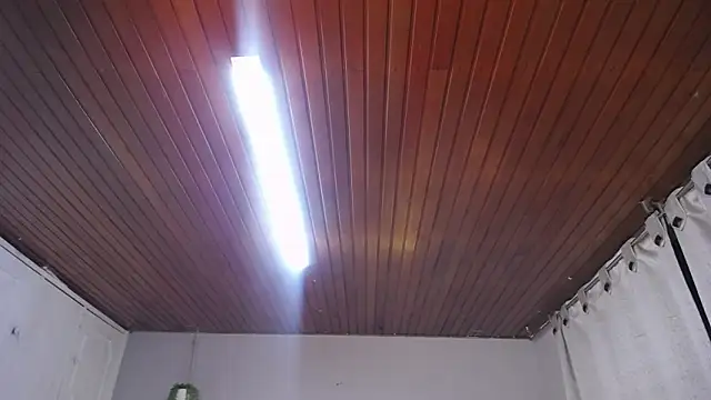 Snapshot of Scarllett_BDSM chatting on 29, 11, 2025 Scarllett BDSM online show from 29, 11, 2025