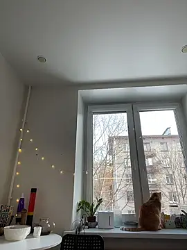 Snapshot of SuzieMurray chatting on 6, 3, 2026 SuzieMurray online show from 6, 3, 2026