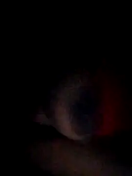 pornstarbrezillian online show from 15, 11, 2025