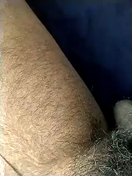 jellydicks online show from 11, 2, 2026