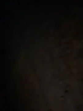 Snapshot of tripexnte chatting on 20, 2, 2025 tripexnte online show from 20, 2, 2025