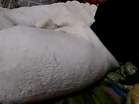 sexyguy1231 online show from 26, 12, 2024