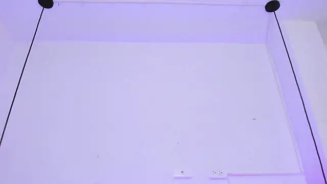 Zoeth Ruiz online show from 29, 1, 2025
