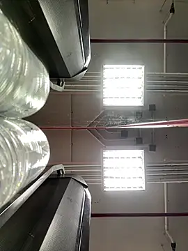 luv2masterb8247 online show from 21, 3, 2025