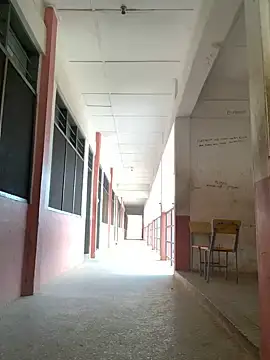 Black mamba madingo online show from 7, 12, 2024