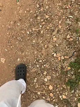 Black mamba madingo online show from 11, 12, 2024