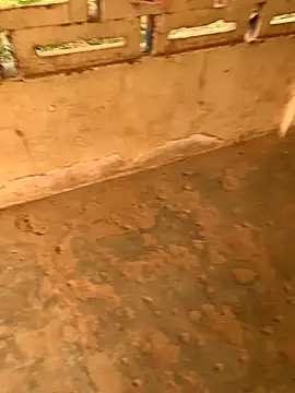 Black mamba madingo online show from 23, 12, 2024