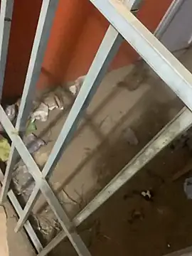 Black mamba madingo online show from 12, 3, 2025