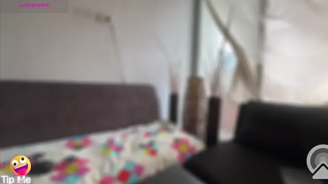 Snapshot of LanaQuen chatting on 29, 12, 2024 LanaQuen online show from 29, 12, 2024