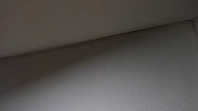 Dimitri higth420 online show from 15, 3, 2025