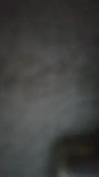 axelongshaft69 online show from 25, 2, 2025