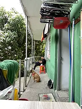 Jestebanano online show from 11, 5, 2026