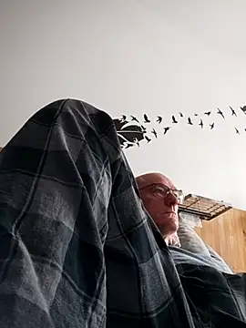 bogland33 online show from 4, 10, 2025