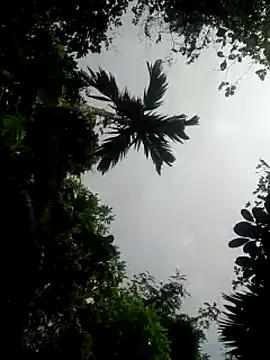 Snapshot of kumaricapalsex2 chatting on 26, 1, 2025 kumaricapalsex2 online show from 26, 1, 2025