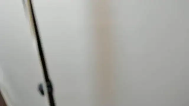 Alid 17 online show from 7, 3, 2025