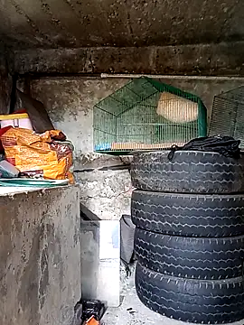 Snapshot of Elvishcassie_ chatting on 1, 10, 2025 Elvishcassie online show from 1, 10, 2025