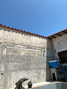 Leo bunny hot online show from 27, 9, 2025