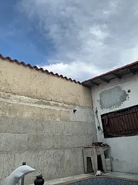 Leo bunny hot online show from 13, 10, 2025