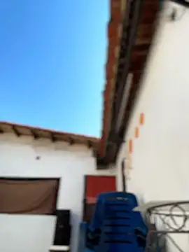 Leo bunny hot online show from 6, 2, 2026