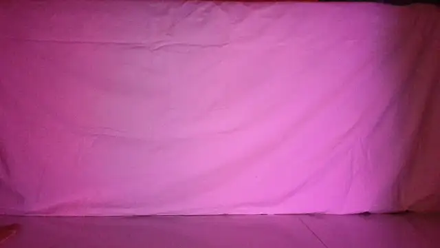 Reneta Rebekka Lopez online show from 16, 4, 2026