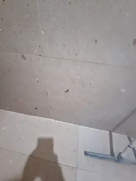 vivanpraj999 online show from 15, 2, 2025