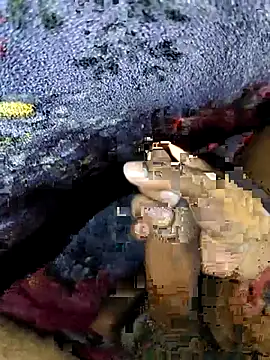 Snapshot of Kolkataboiy chatting on 24, 9, 2025 Kolkataboiy online show from 24, 9, 2025