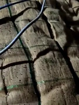 Snapshot of Kolkataboiy chatting on 2, 10, 2025 Kolkataboiy online show from 2, 10, 2025