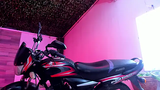 AkazaBoy  online show from 27, 12, 2024