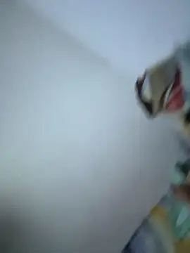 SweetBonniie online show from 3, 11, 2025